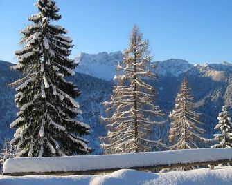 Albergo Miramonti - Arta Terme - Outdoor view