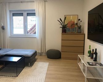 Cozy 1-bedroom dublex-apartment in pleasant Stuttgart with AC - 슈투트가르트 - 거실