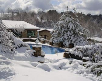 Casa Lavanda Boutique Hotel - Şile - Pool