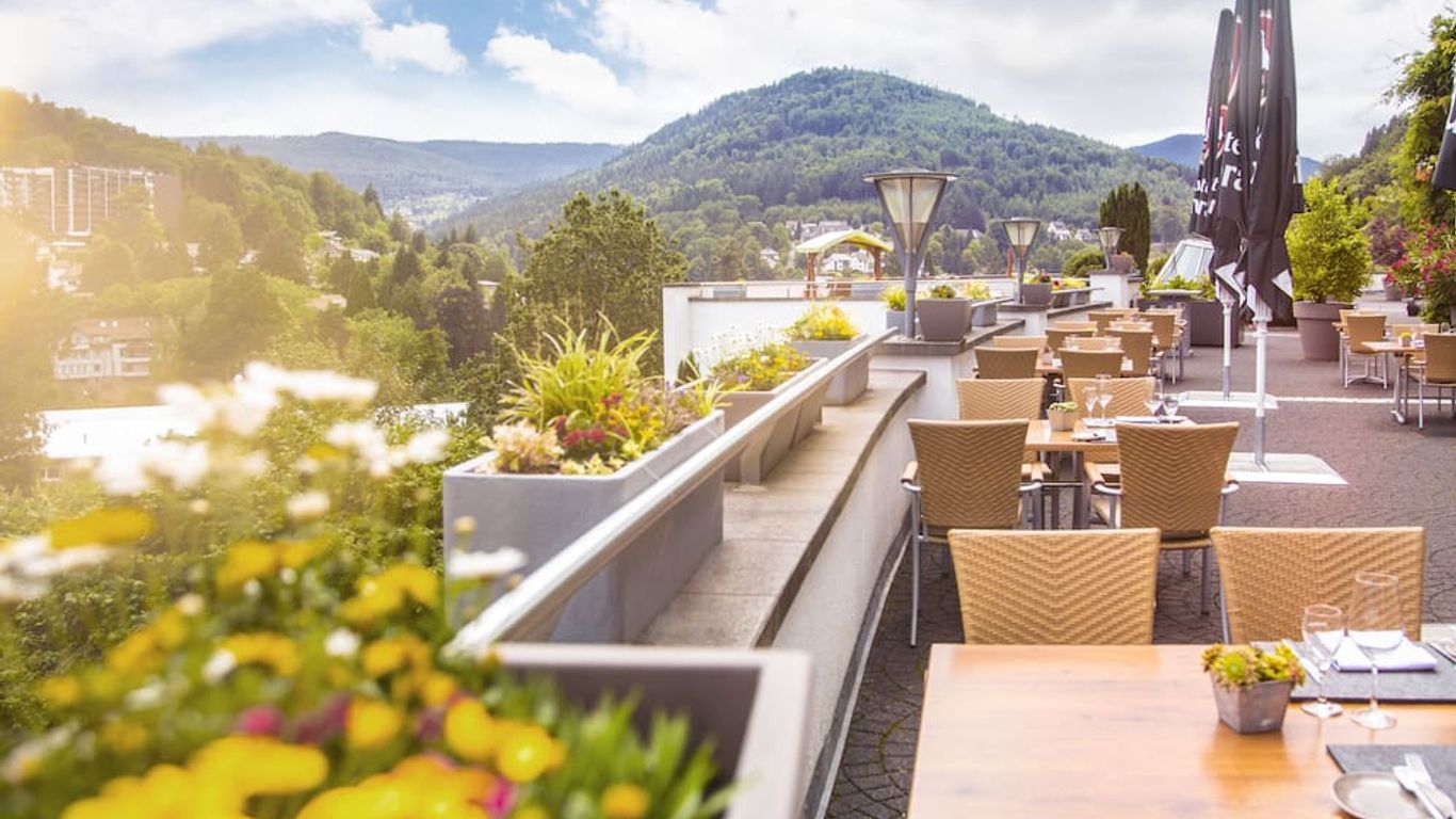 Schwarzwald Panorama