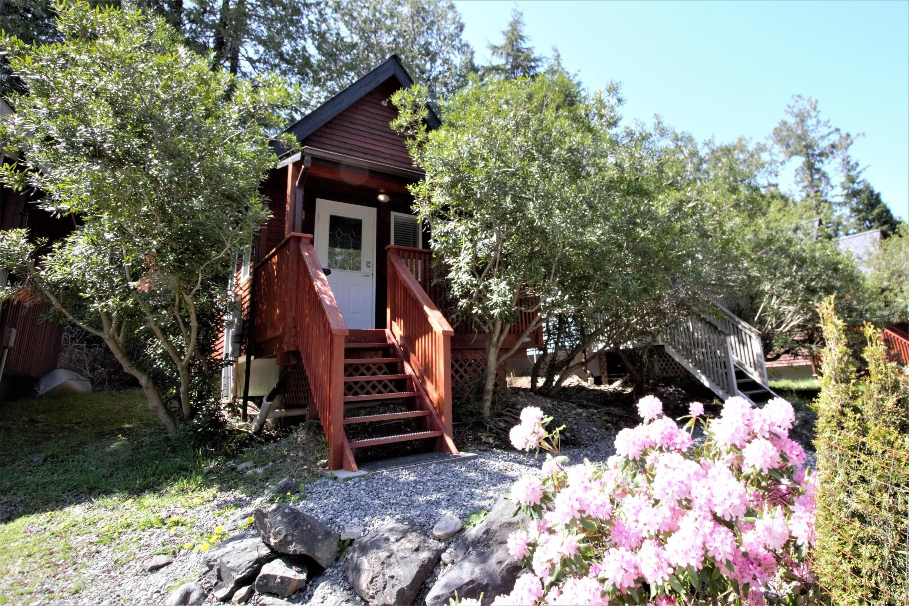 Cozy cabin near walking trails and beaches! - Ucluelet - Outdoors view