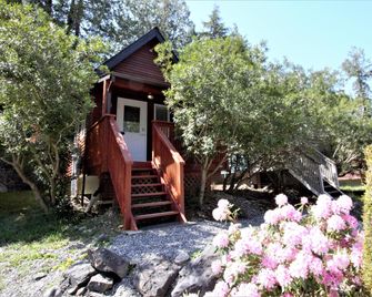 Cozy cabin near walking trails and beaches! - Ucluelet - Vista del exterior