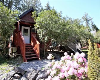 Cozy cabin near walking trails and beaches! - Ucluelet - Outdoors view