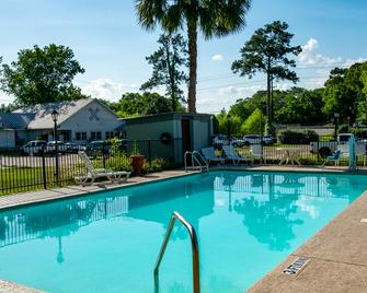 Red Roof Inn Tallahassee East - Tallahassee - Piscina