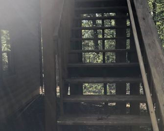 Charming 1-bedroom apartment with AC and WiFi close to old rag and local winery - Boston - Escaleras