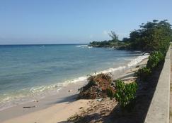 Relax In Sunny Jamaica one of the best and safe home to rent. - St.Bran's Burg - Beach