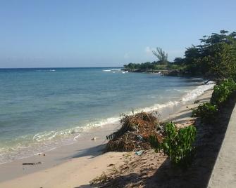 Relax In Sunny Jamaica one of the best and safe home to rent. - St.Bran's Burg - Plaża