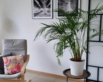 Superb Appartement With 3 Bed Rooms In Antwerpen - Amberes