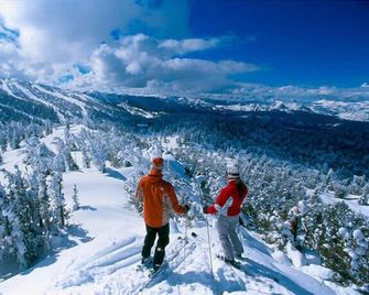 Elk Forest Escape - Economy Family Abode - Lake Tahoe South