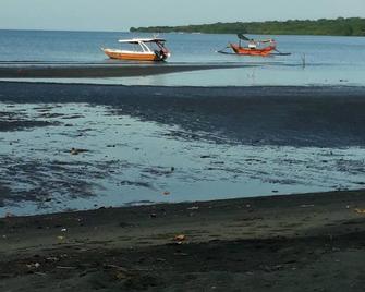 Menjangan Hostel - Gerokgak - Playa