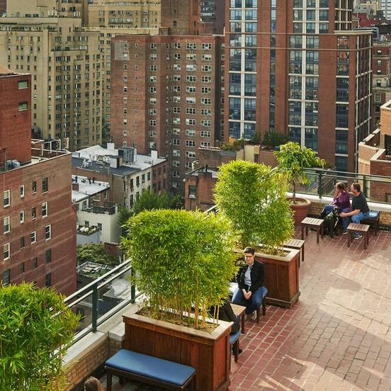 Outdoors view view of The Shelburne Sonesta New York