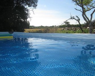 Airport Guesthouse - Christchurch - Pool