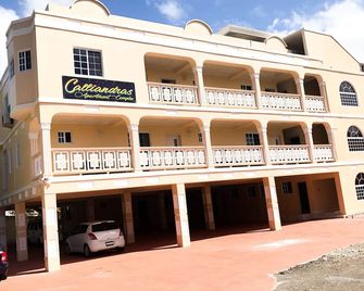 Calliandras Apartment Complex - Kingstown - Building