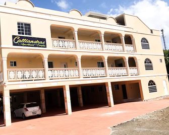Calliandras Apartment Complex - Kingstown - Budynek