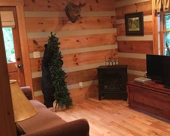Your Mayberry Get-a-Way Cabin- Only 6 miles from Downtown Mount Airy - Mount Airy - Wohnzimmer