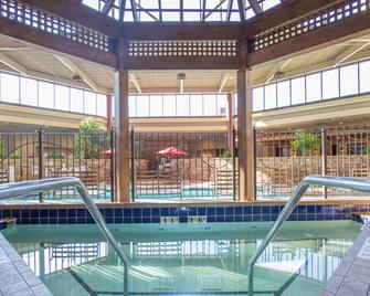 Holiday Inn Blmgtn Arpt South - Mall Area By IHG - Bloomington - Pool