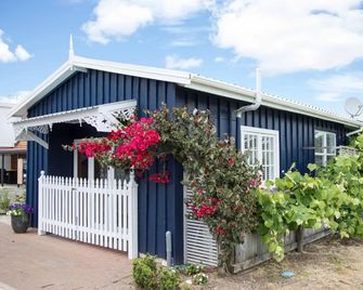Beach Folly - Whitianga - Whitianga