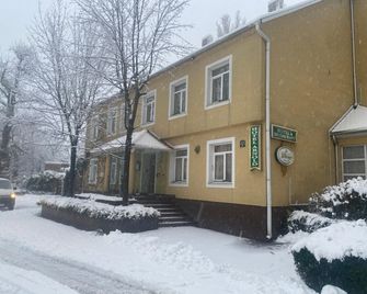 Hotel Arnold - Tata - Clădire