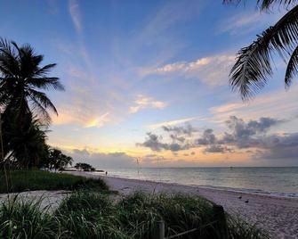 Sandpiper on the Ocean - Cayo Hueso - Playa