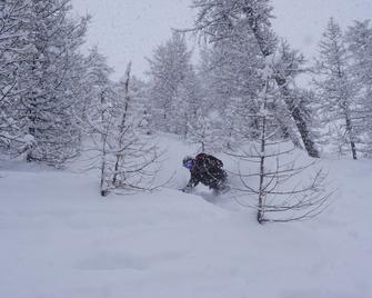 Studio condo located in the heart of Jackson Hole Mountain Resort - Teton Village - Prestation de l’hébergement