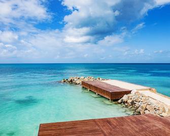 Amazing Villa! Breathtaking View And Infinity Pool With Direct Access To The Sea - Cedar Grove - Beach