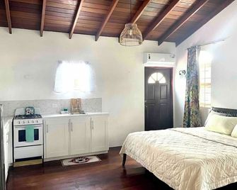 Blr Beach Villas #15 - Oistins - Schlafzimmer