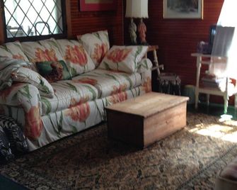 Restored Historic Adirondack Bird Camp Near Gore Mt With Lovely Mountain Views - North River - Living room
