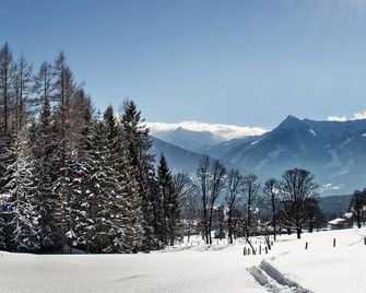 Kramlhof - by myNests - Ramsau am Dachstein - Vista del exterior