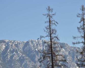Skimmerhorn Inn - Creston - Outdoor view