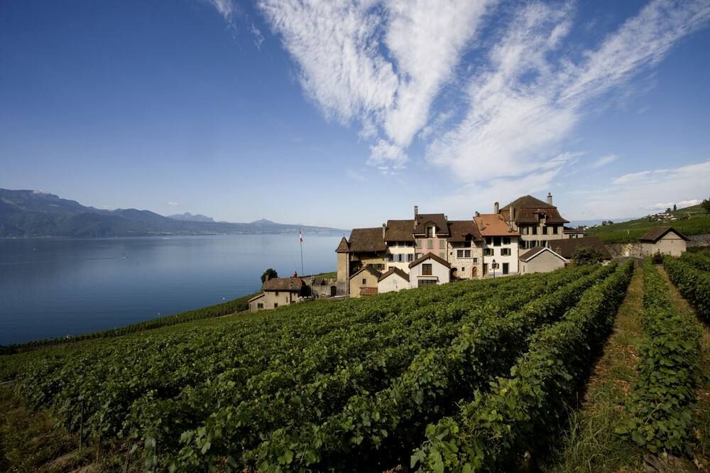 Hotel Lavaux thumbnail 3