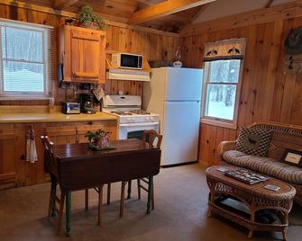 Escape to our cozy Winthrop cabin on Dexter Pond - Winthrop - Kitchen