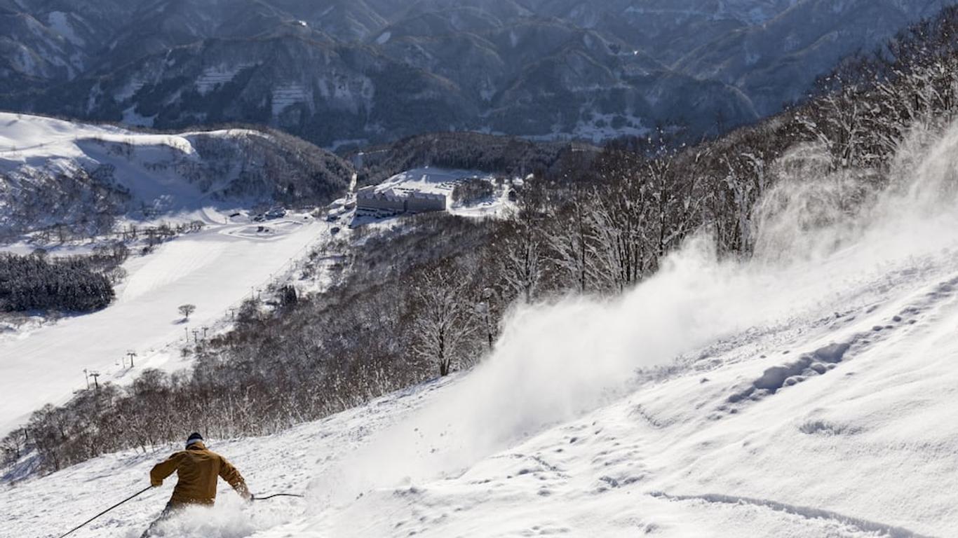 Hotel Green Plaza Hakuba