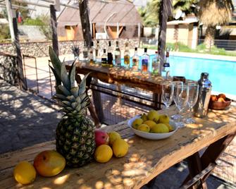 Hotel Observatorio Tukunmapu - Vicuña - Restaurant