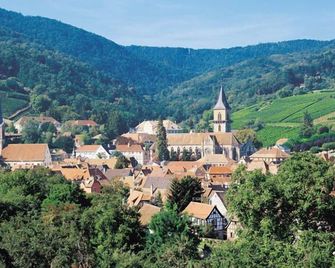 Hotel Le Menestrel - Rappoltsweiler - Außenansicht