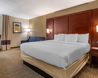 Comfort Inn Laurinburg - Laurinburg - Bedroom