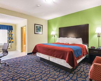 Rodeway Inn & Suites - איתקה - חדר שינה