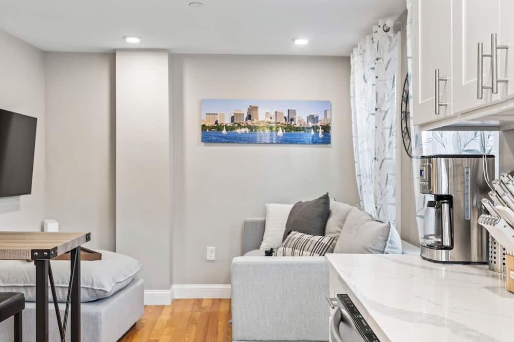Lux 2nd floor 3brm/1bath - בוסטון - סלון