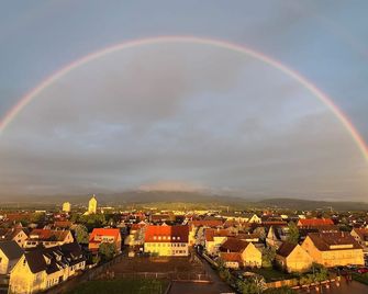 Hotel Krone Neuenburg - Neuenburg am Rhein - Außenansicht