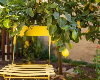 La Tour Du Terroir - Rivesaltes - Patio