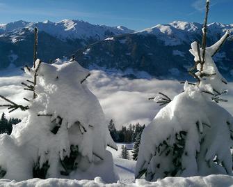 Apartment in a sunny and central dream location - Ramsau im Zillertal - Außenansicht