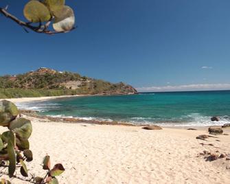 Neptune's Jewel - an elegant, newly-built studio cottage in quiet garden - Cobbs Cross - Beach