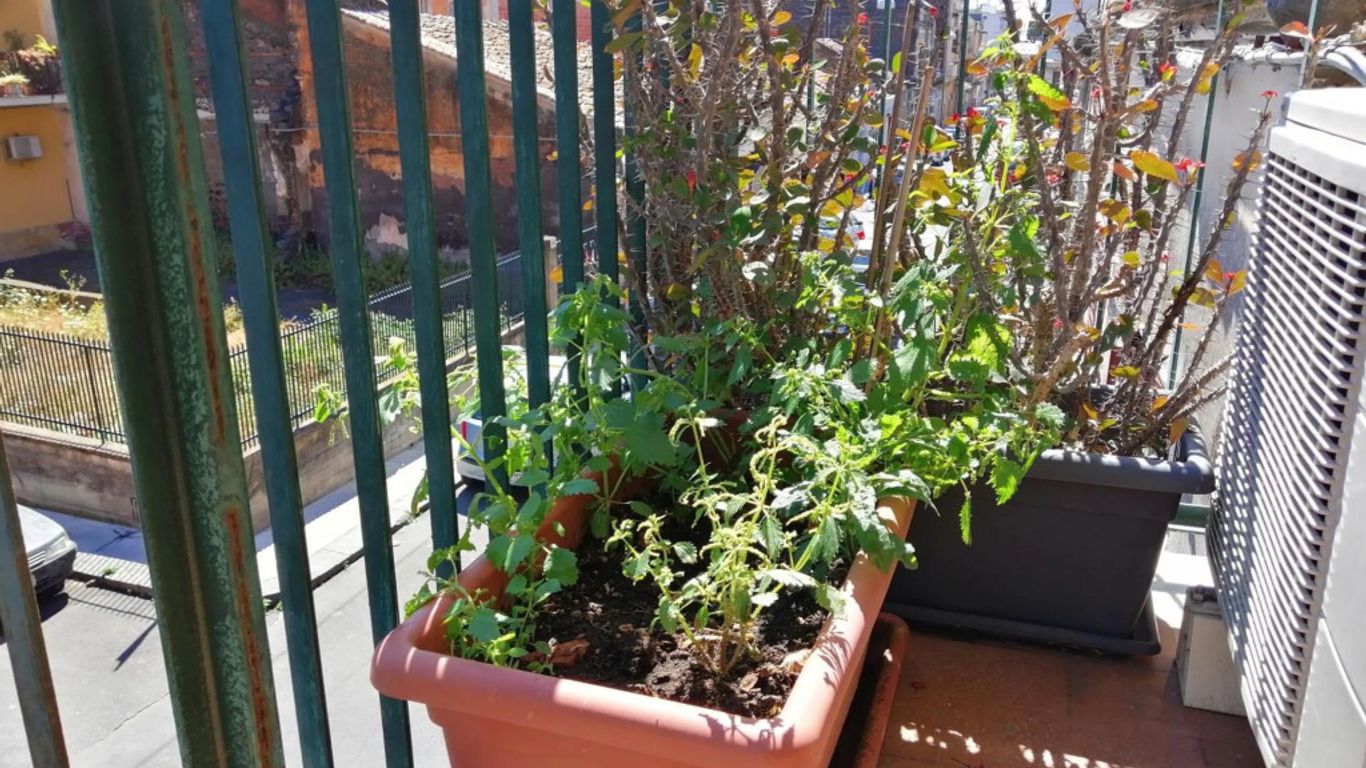 Nonno Francesco rooms