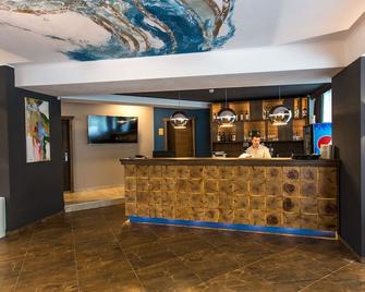 Panorama Boutique Hotel - Sfântu-Gheorghe - Front desk