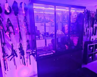 Elysium Dungeon: A Luxurious Kinky Adult Hideaway for Your Hedonistic Fantasies - Vineland