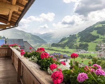 Ferienwohnung Dornauer - Hippach - Balcony