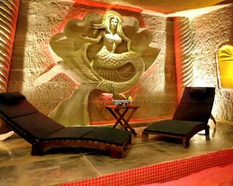 Historical Goreme House - Göreme - Lounge