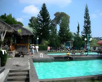 Sari Alam Hot Spring And Resort Hotel - באנדונג - בריכה