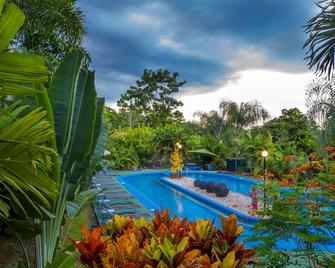 Hotel Heliconias Nature Inn & Hot Springs - Colonia Palmareña - Piscina