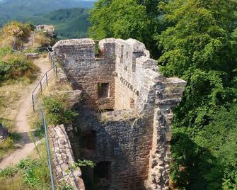 L'échappée verte - gîte equestre 5 pers - Meisenthal - Edificio