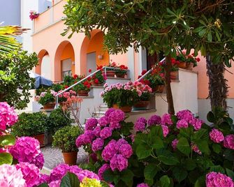 Amadei Hotel Blumen - Pesaro - Vista esterna